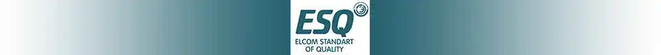логотип ESQ